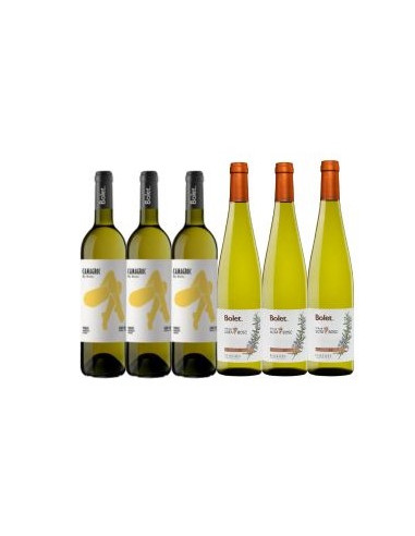 LOTE DUO VINOS BLANCOS
