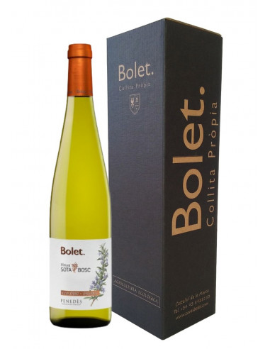 VI BLANC VINYA SOTA BOSC AMB ESTOIG