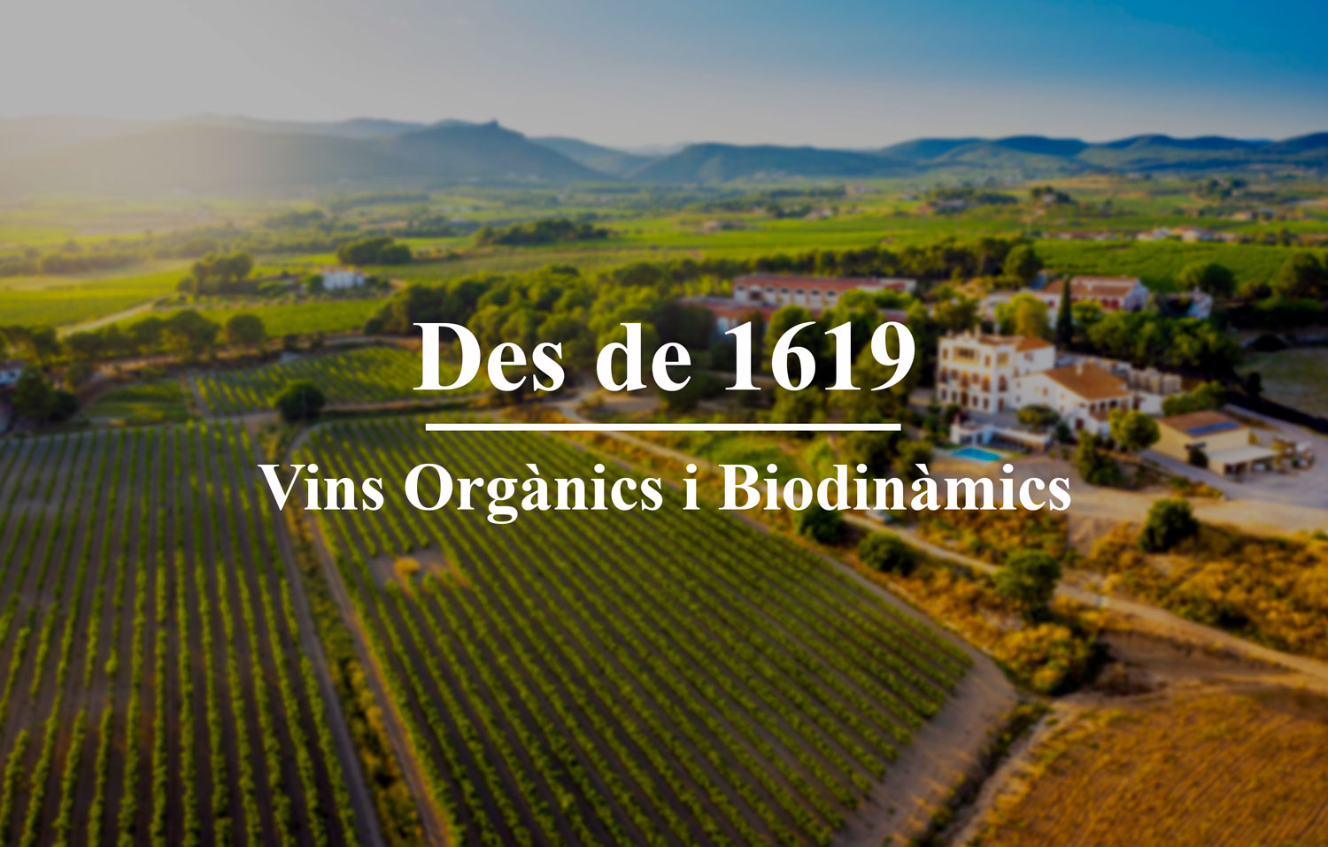Cavas Bolet des de 1619 vins org&agrave;nics artesanals